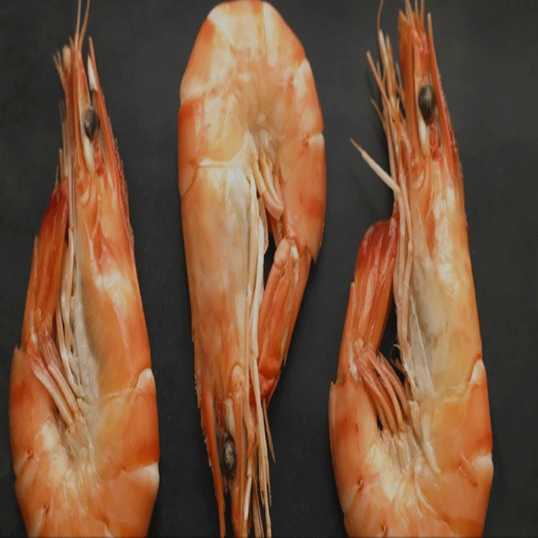 Farmed Shrimp