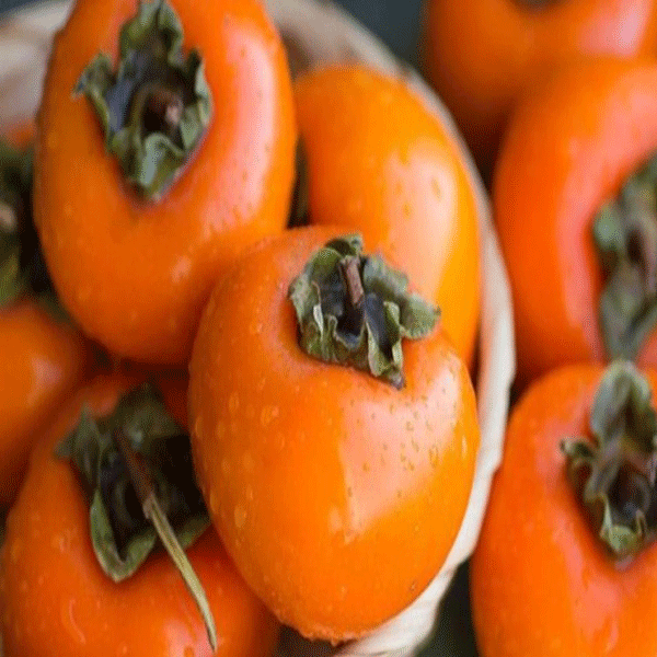 Persimmon