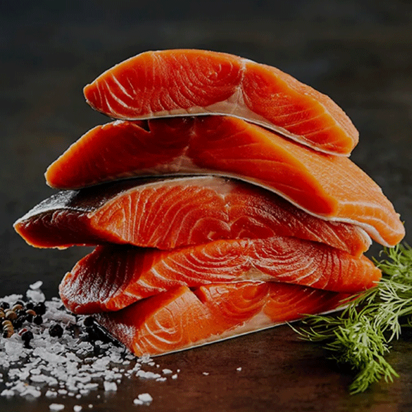 salmon