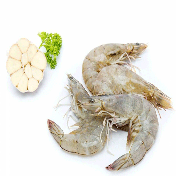 Sea(wild) shrimp