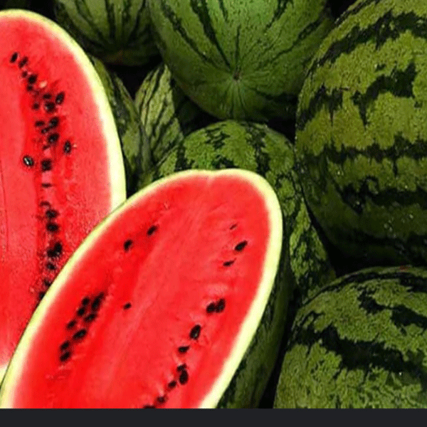 watermelon