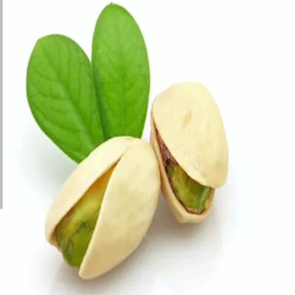 Nogh Rafsanjan- Pistachio